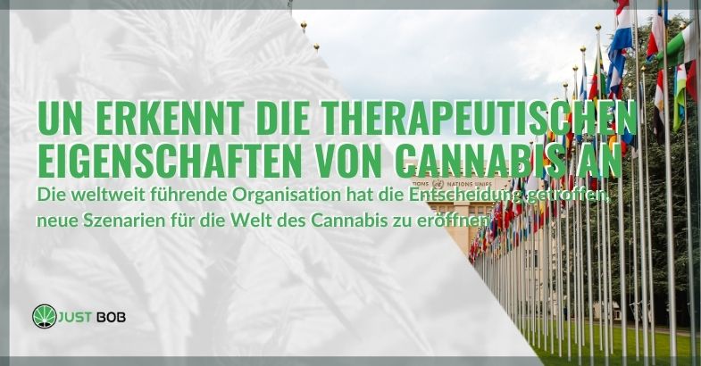 Historischer Wendepunkt von CANNABIS CBD