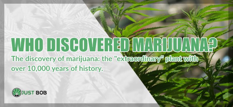 Who Discovered Marijuana?