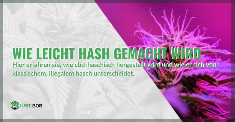 Wie CBD-Haschisch hergestellt wird