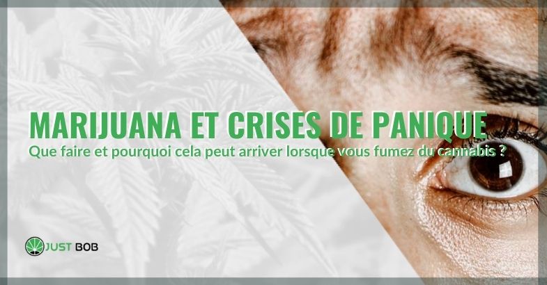 Marijuana et crises de panique