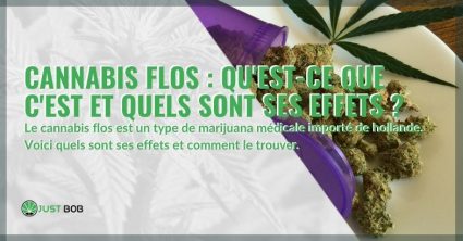 Cannabis Flos