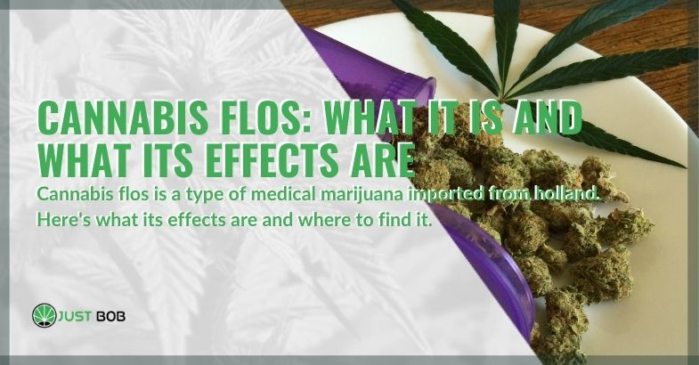 Cannabis Flos