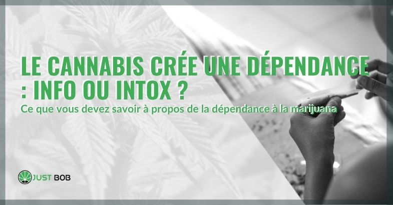 Le cannabis crée une dépendance : info ou intox ?