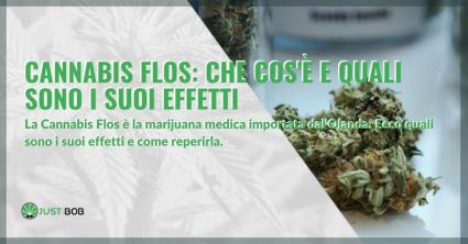 Cannabis Flos