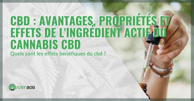 CBD : avantages, propriétés et effets