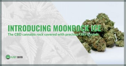 Introducing Moonrock Ice, the CBD cannabis rock