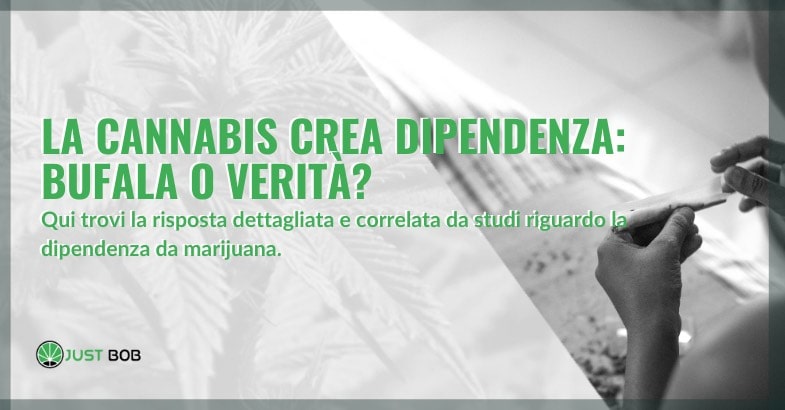 La cannabis crea dipendenza: bufala o verità?