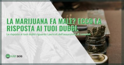 La marijuana fa male al corpo?