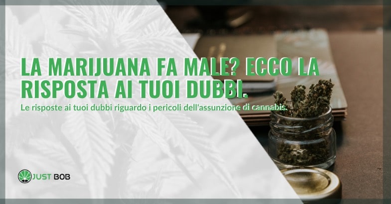 La marijuana fa male al corpo?