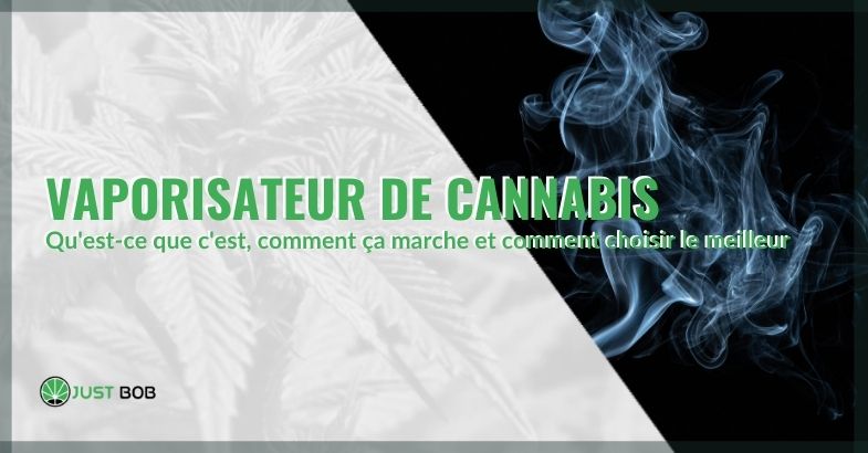 Vaporisateur de cannabis : qu’est-ce que c’est