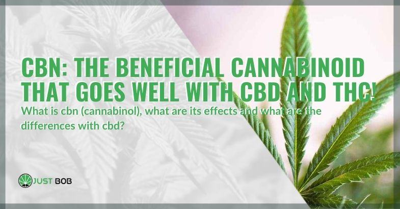 CBN: the beneficial cannabinoid