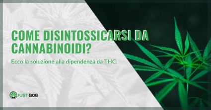 Come disintossicarsi da cannabinoidi?