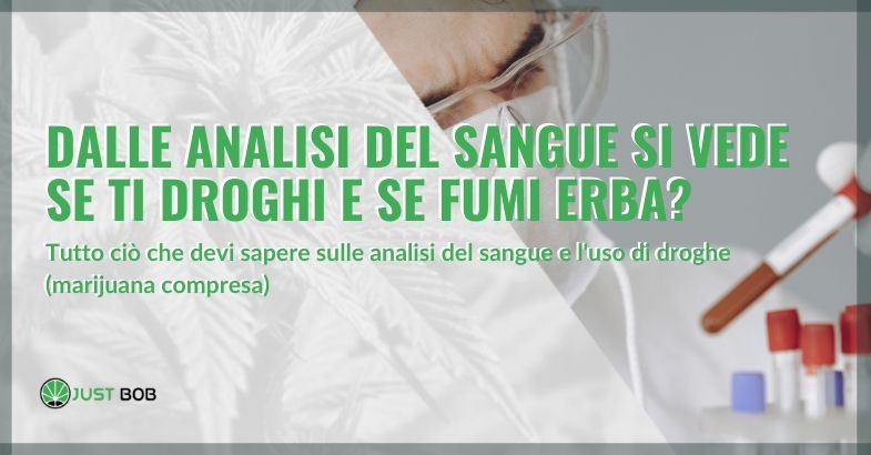 Dalle analisi del sangue si vede se ti droghi e se fumi erba?