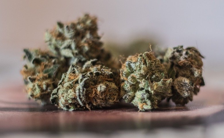 How to recognise quality marijuana buds?