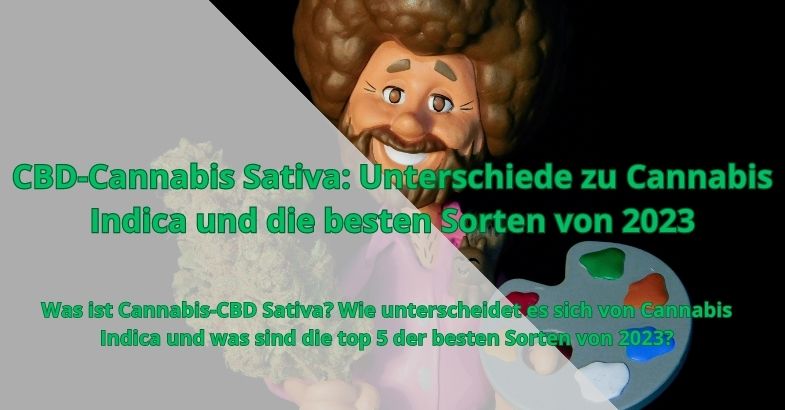 CBD-Cannabis Sativa: Unterschiede zu Cannabis Indica und die besten Sorten von 2023