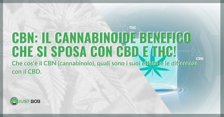 CBN: il cannabinoide benefico