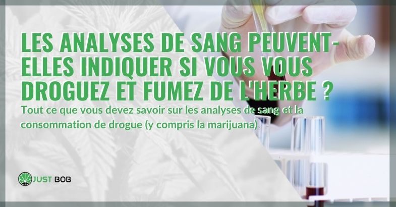 Analyses de sang et cannabis