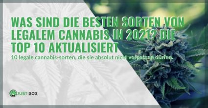 Die Top 10 CBD cannabis