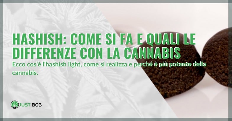 Hashish: come si fa e quali le differenze con la cannabis