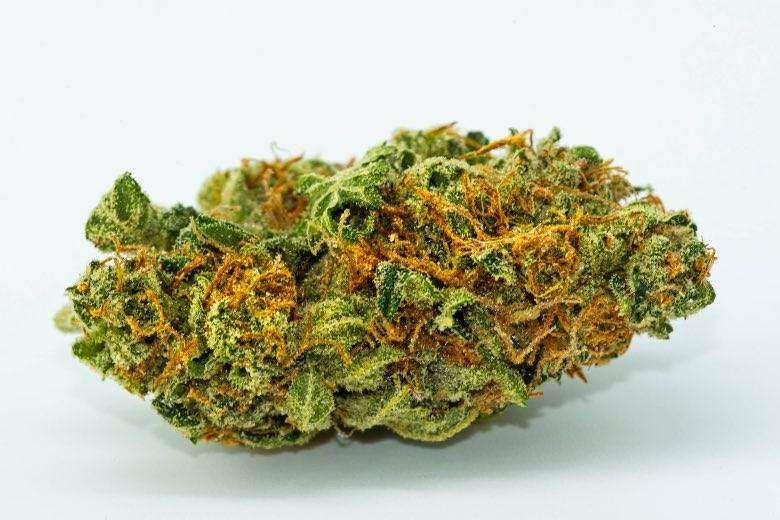 What is a marijuana bud?