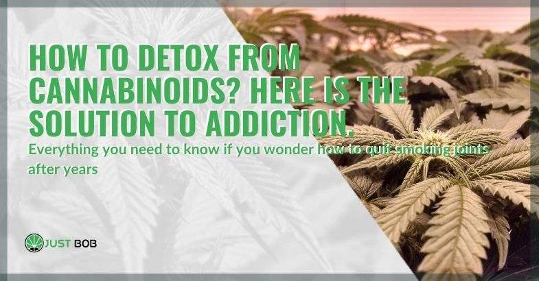 How to detox from cannabinoids?