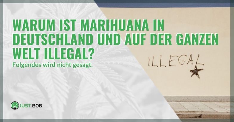 Warum ist Marihuana in Schweiz und auf der ganzen Welt illegal?