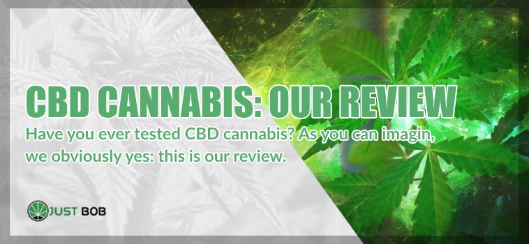 CBD Cannabis: our review