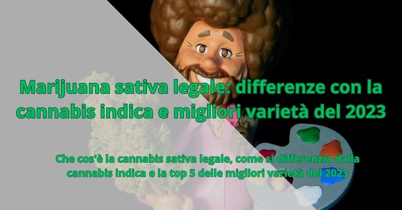 Marijuana sativa legale: differenze con la cannabis indica e migliori varietà del 2023