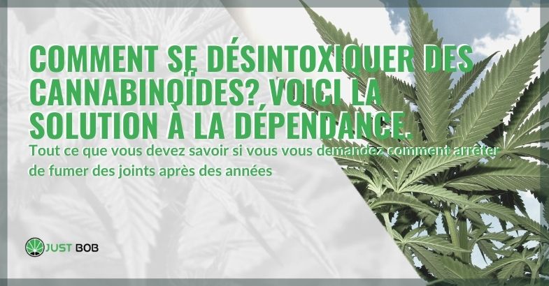 Comment se désintoxiquer des cannabinoïdes ?