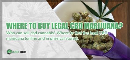 Where is it possible to buy legal CBD marijuana?