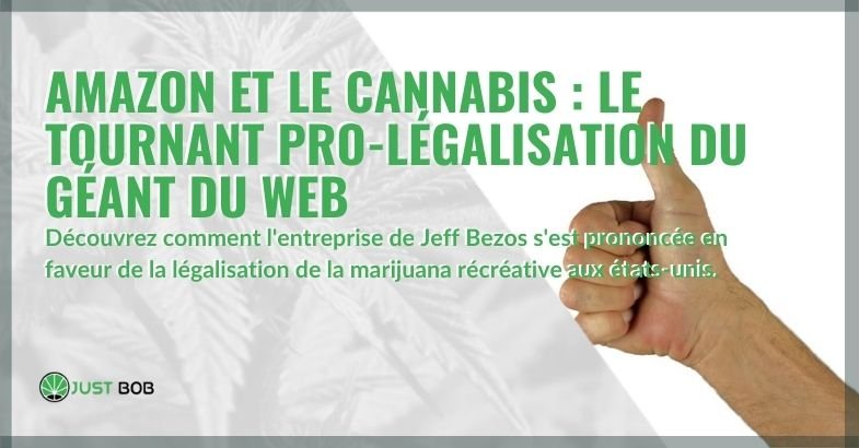 Amazon et Cannabis: le tournant pro-légalisation