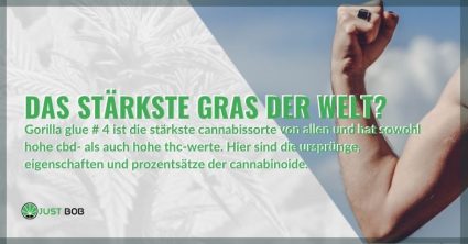 Das stärkste Gras der Welt?