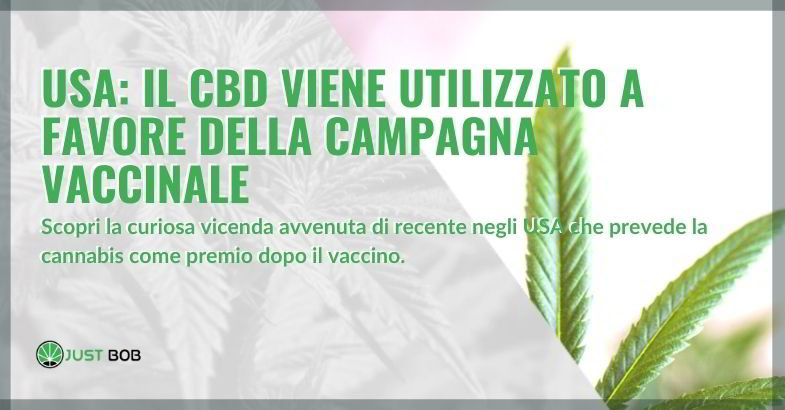 USA: il CBD viene utilizzato a favore della campagna vaccinale