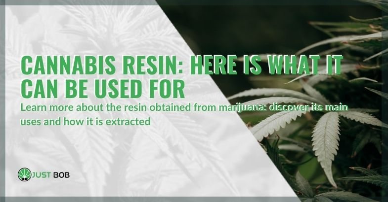Cannabis resin: here is what it can be used for