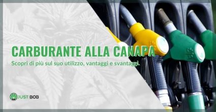 Carburante alla canapa: è un’opzione concreta