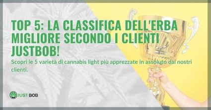 Top 5: la classifica dell’erba migliore per i clienti Justbob