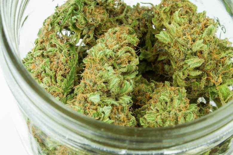 Was ist Cannabis Flos und wie hoch sind die THC- und CBD-Mengen?