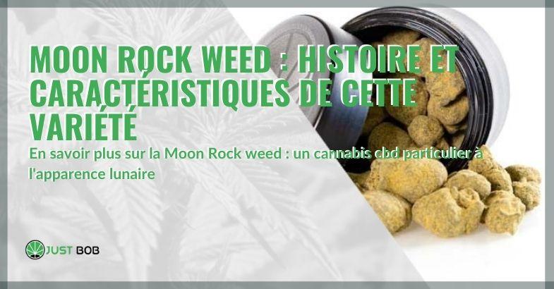 Moon Rock Weed : Histoire et caractéristiques de cette variété