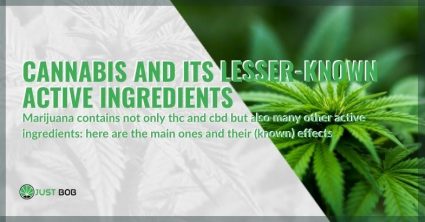 Cannabis and its lesser-known active ingredients