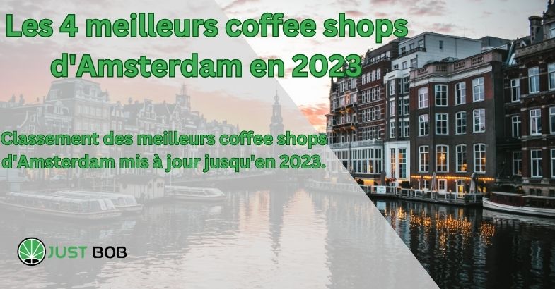 Les 4 meilleurs coffee shops d’Amsterdam en 2023
