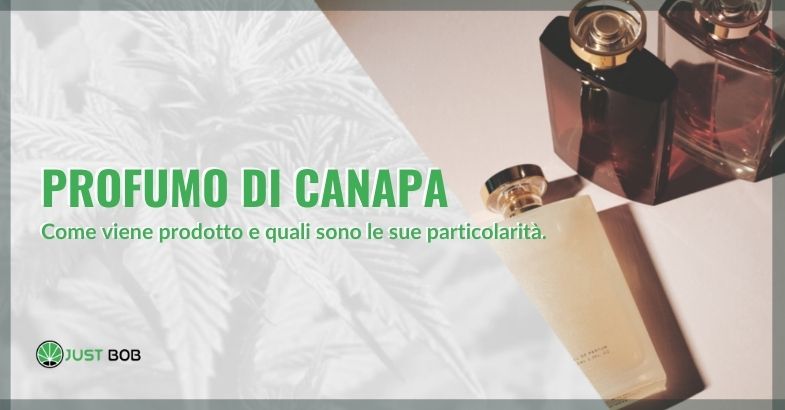 Profumo di canapa: come viene prodotto