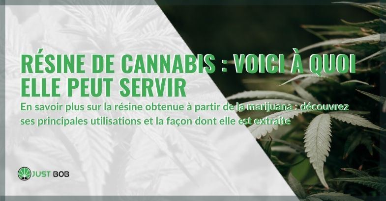 Résine de cannabis : voici à quoi elle peut servir