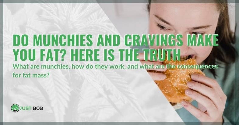 Do munchies and cravings make you fat?
