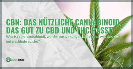CBN: das nützliche Cannabinoid