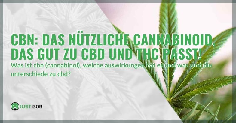 CBN: das nützliche Cannabinoid
