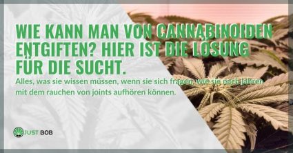 Wie kann man von Cannabinoiden entgiften?