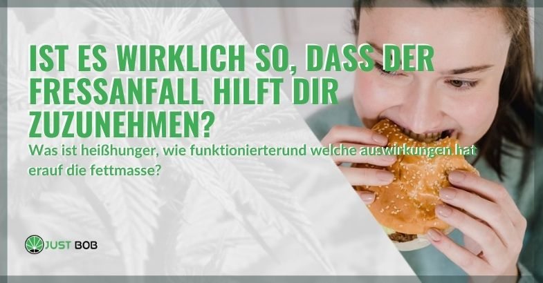 Ist es wirklich so, dass der Fressanfall hilft zuzunehmen?