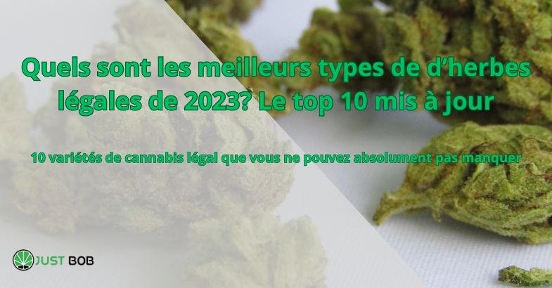 Quels sont les meilleurs types de d’herbes légales de 2023