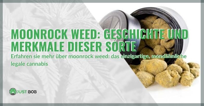 Moonrock Weed: Geschichte und Merkmale dieser Sorte