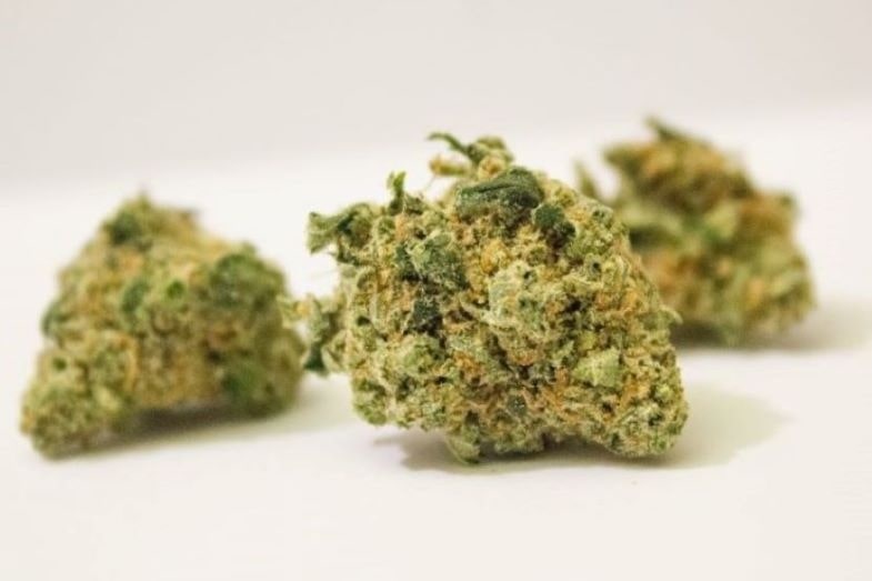 Legal weed: which one to choose?
